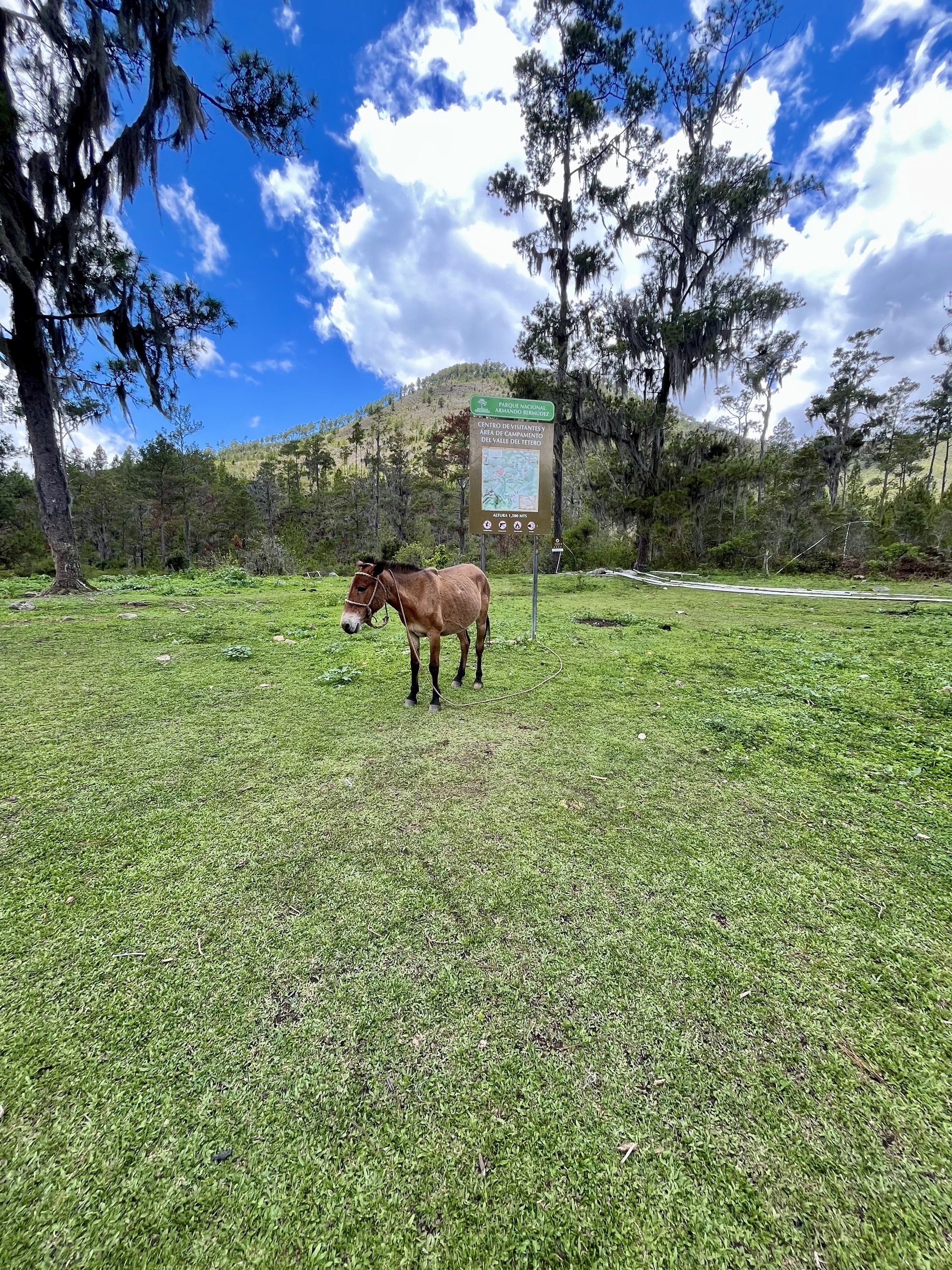 Valle del Tetero
